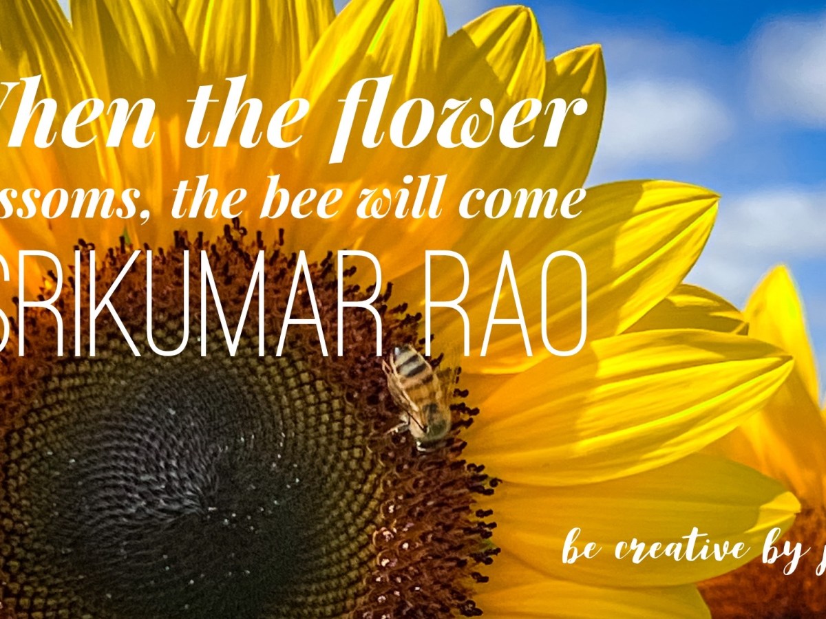 Exploration of the&nbsp;Redlands